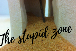 ‘The stupid zone’: hoe geraken we erin en hoe moeten we ermee leven?